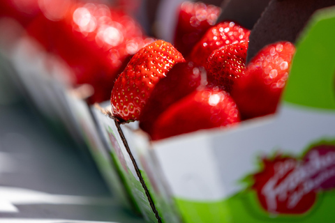 Quebec City - Agricultural Walking Tour on Ile d'Orléans Agricultural Walking Tours - Unique Flavor of the Island