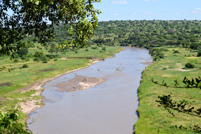Tarangire-Nationalpark &amp; Eyasi-See (Datoga- &amp; Hadzabe-Dörfer)Premium Lodge im Tarangire-Nationalpark
