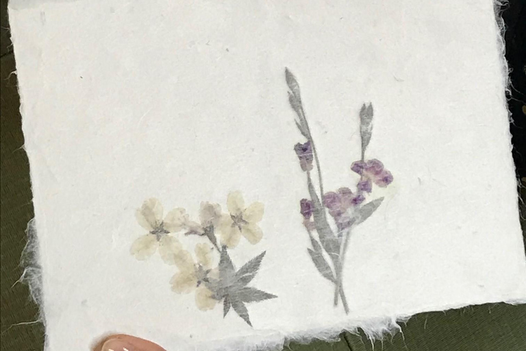Kyoto; Traditional Japanese Washi Papermaking
