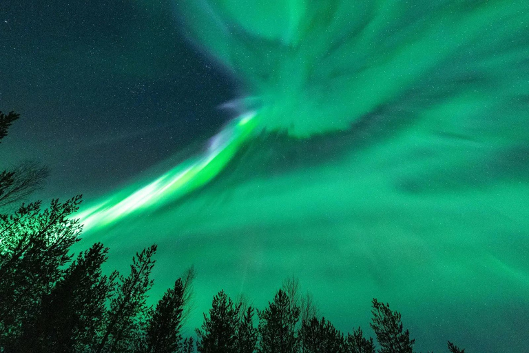 Rovaniemi: Northern Lights Hunt with Free Second Tour