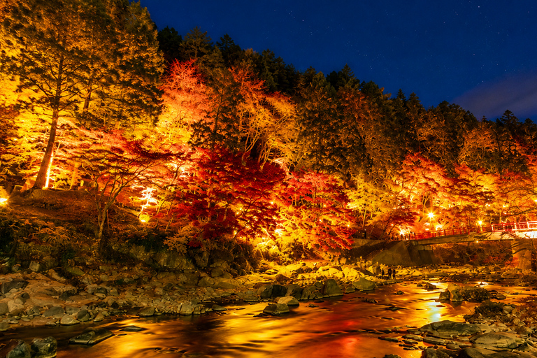 Nagoya: Obara Cherry Blossoms & Korankei Autumn Illumination