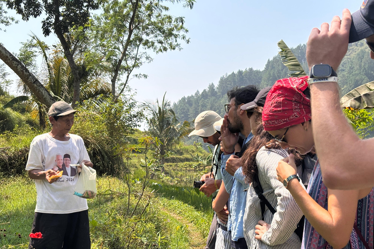 يوغياكارتا: جولة شاملة مع مرشد سير في تراس الأرزيوجياكارتا: جولة شاملة على مدرجات الأرز مع مرشد