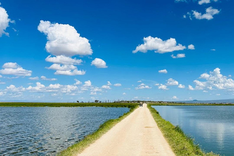 Tour di un giorno del Parco Nazionale di Amboseli e visita al villaggio Maasai