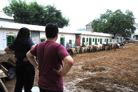 Day Tour to Nathdwara, Eklingji & Haldighati from Udaipur Private Tour with A/C transport and Dedicated Driver.