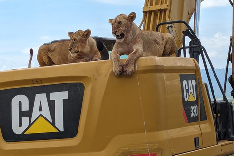 Vanuit Arusha: 6-daagse safari naar Tarangire, Serengeti en ...