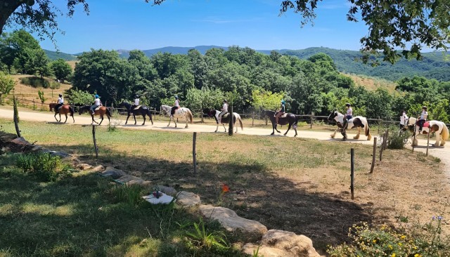 Visit Fattoria Tègoni passeggiata a cavallo in Toscana in Suvereto