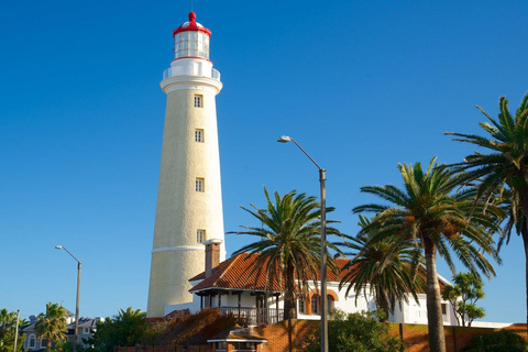 Tour guiado de dia completo a Punta del Este