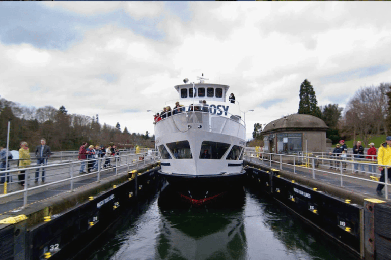 City Sightseeing Seattle Hop-On Hop-Off Bus Tour + Cruise 48-Hour Hop-On Hop-Off Bus Tour + Harbor Cruise