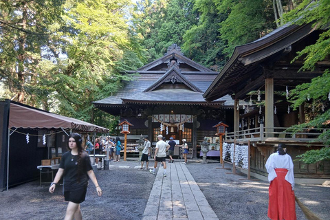From Tokyo: Mt. Fuji Views Private Customize Itinerary Tour