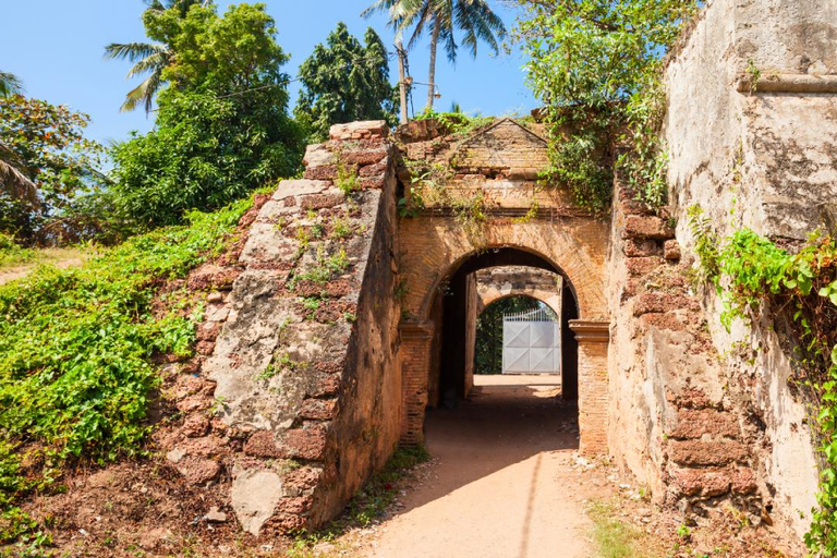 Negombo: Private City Tour with Ayurvedic Massage & Lunch