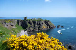 Ab Edinburgh: Tagestour Dunnottar Castle & Aberdeen