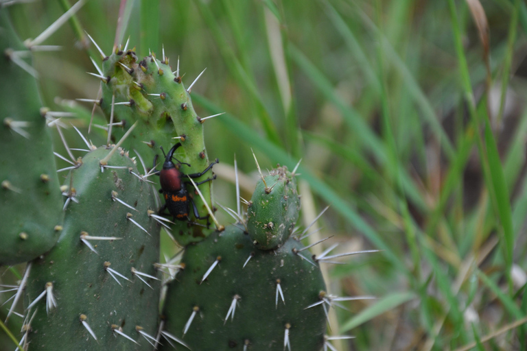Senderismo en el parque Nacional Benito Juárez