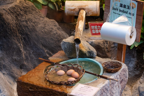 Nagano: Snow Monkeys, Zenkoji Temple & Sake Day Trip From Tokyo: Private Tour to Snow Monkey Park