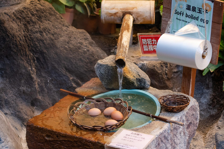 Nagano: Snow Monkeys, Zenkoji Temple & Sake Day Trip From Tokyo: Private Tour to Snow Monkey Park