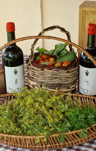 Arezzo: Tasting of Natural Wines in Buried Amphorae