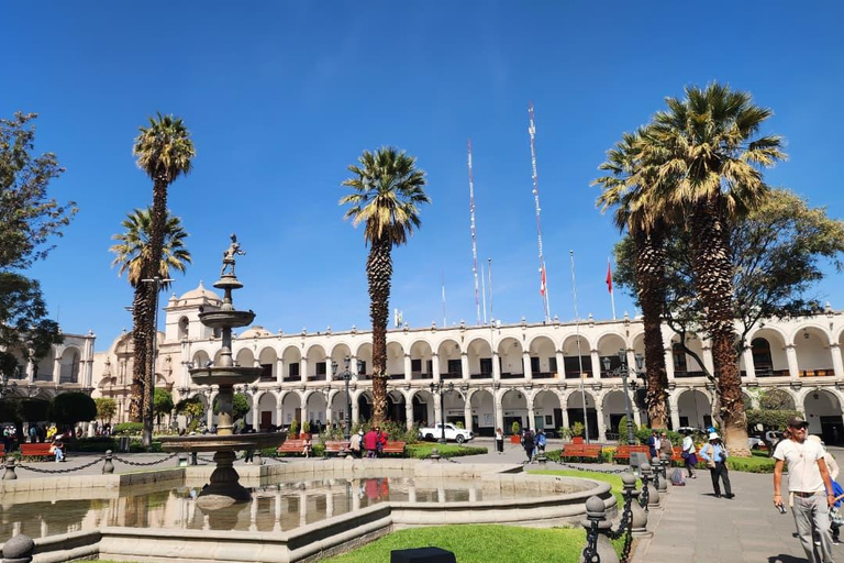 From Arequipa: Walking Sightseeing Tour From Arequipa: Pedestrian City Sightseeing Tour