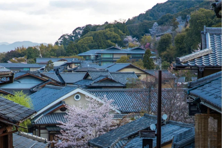 Maizuru: Shore Excursion for Cruise Guests（Private/Group） Litinerary A: Kyoto City Tour(small group)