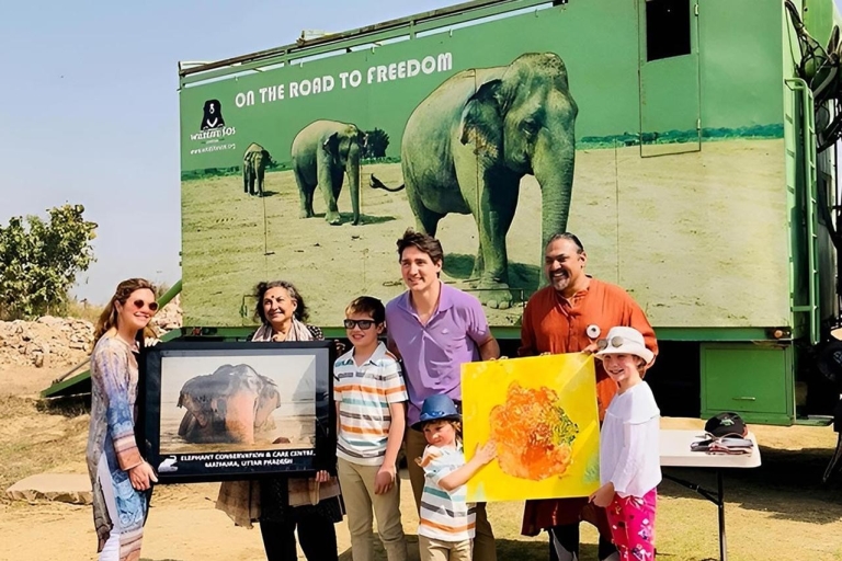 Elefante/Oso Salvaje SOS y Viaje a Agra en CocheCoche AC + Guía + Entrada al Monumento