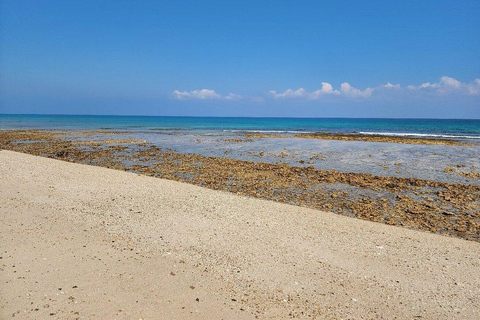3-Day Oman Adventure: Wadis, Desert Camping & Meals by Guide