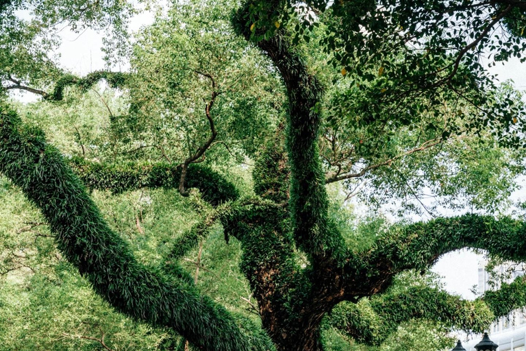 Guangzhou: Shamian Highlights & White Swan Waterfall (2h)