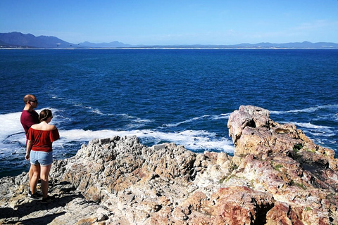 Från Kapstaden: 3-dagars safari och kusttur på Garden Route