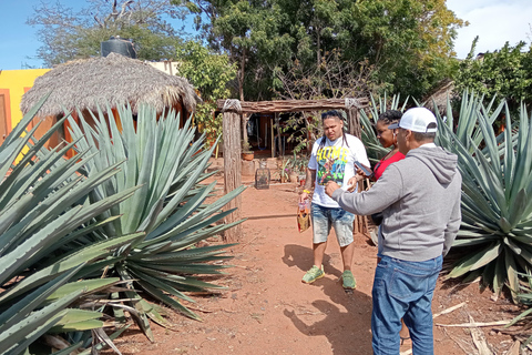Mazatlan: Mezcal Factory Tour with Tasting and Lunch
