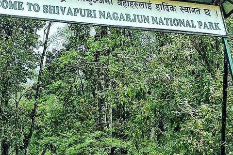 Kathmandu: Shivapuri nationaal park dagwandeling