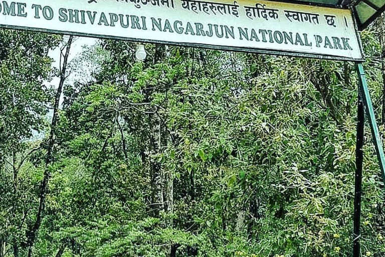 Kathmandu: Shivapuri nationaal park dagwandeling