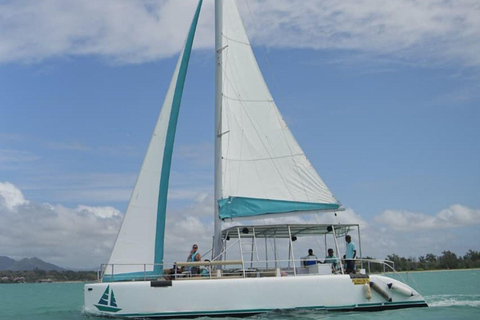 Catamaran Cruise to Ile aux Cerfs & GRSE Waterfall