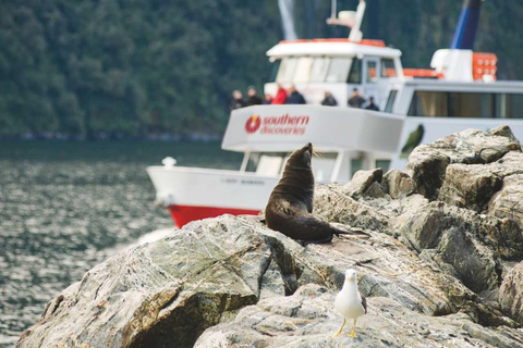 From Te Anau: Milford Sound Cruise and Coach Tour with Guide