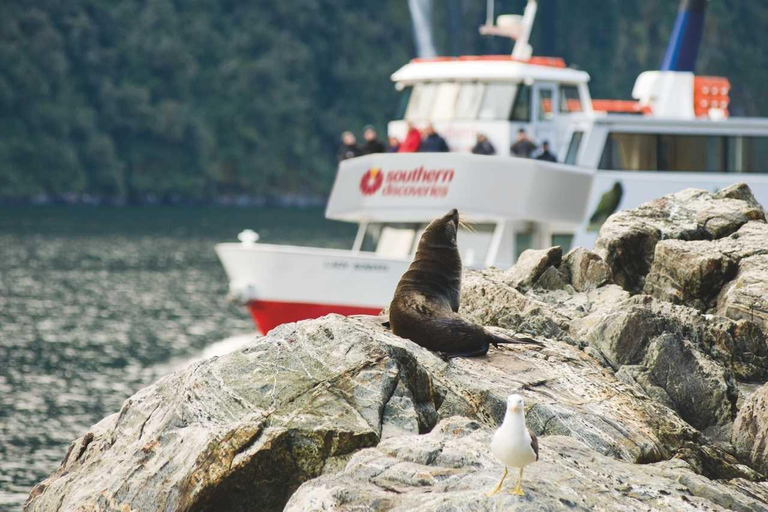 From Te Anau: Milford Sound Cruise and Coach Tour with Guide