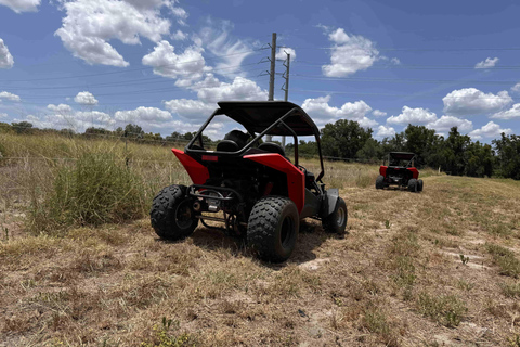 Bamboo Dune Buggy Tour
