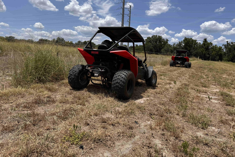 Bamboo Dune Buggy Tour