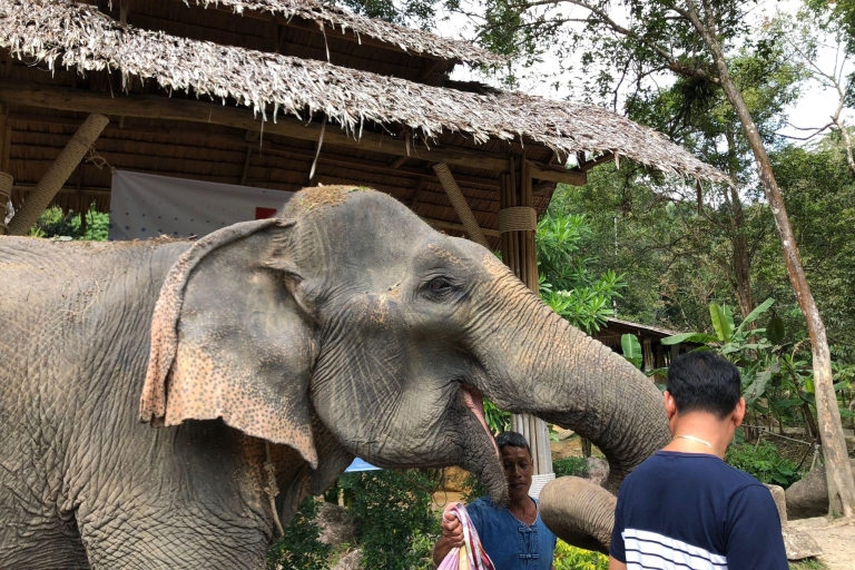 Phuket: Rafting, tirolina y cuidado de elefantesRafting, ATV, Novia de la Cuerda, Tirolina y Cascada