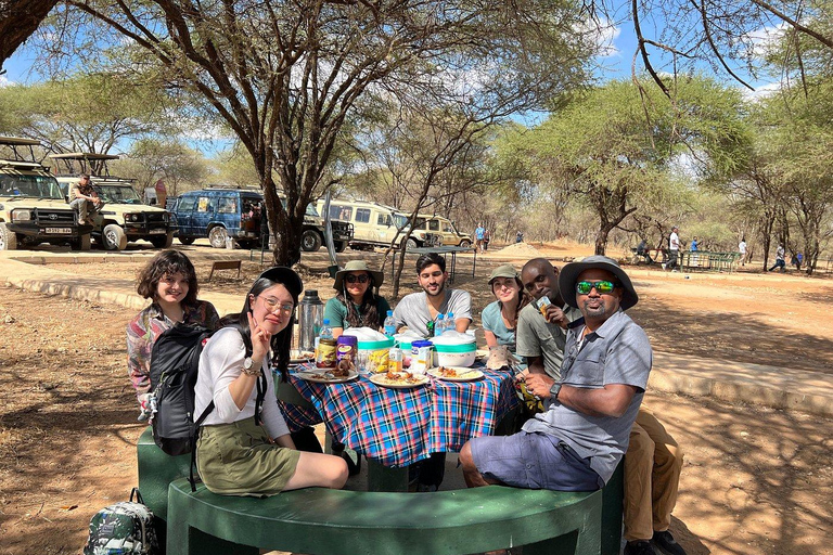 Safari économique de 2 jours dans le Tarangire et le Ngorongoro au départ de Zanzibar