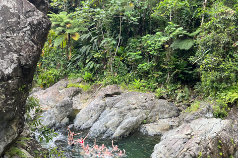 Excursion à El Yunque, rivière et toboggans aquatiques