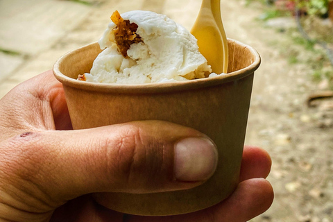 From Santa Marta: Minca and Coffee and Cacao Tour with Lunch Minca Magic and exotic Coffee and Cacao Tour