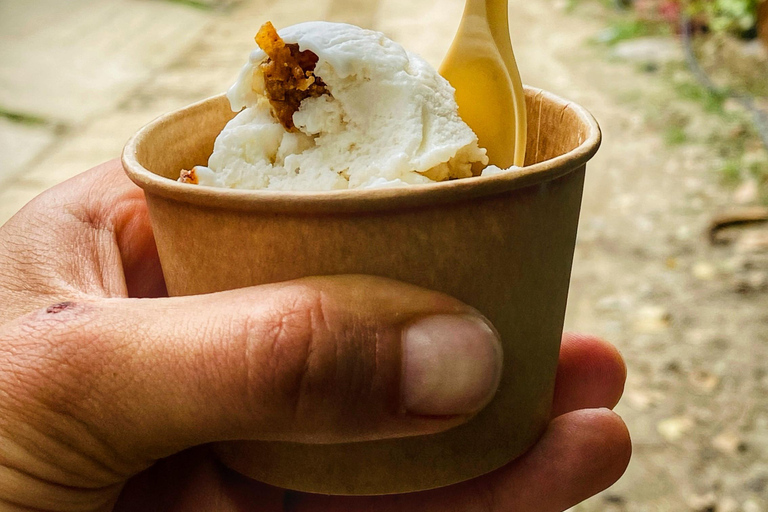 From Santa Marta: Minca and Coffee and Cacao Tour with Lunch Minca Magic and exotic Coffee and Cacao Tour