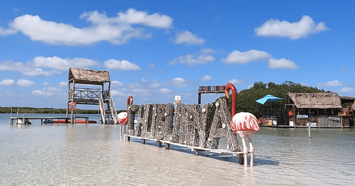 Merideth Riviera Mérida: Beach tour and restaurant with ocean view with a local guide ...