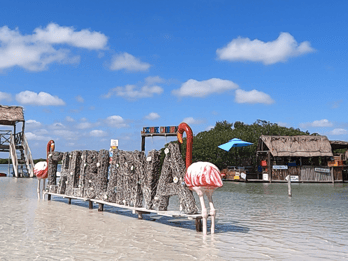 Mérida: Recorrido playesco y restaurante con vista al mar con un guía local