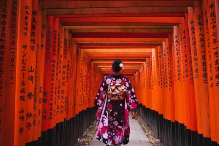 Von Tokio aus: Kyoto und Nara anpassen Private Tour mit Alphard