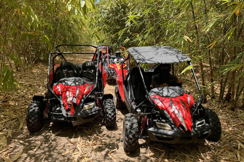 Bamboo Dune Buggy Tour