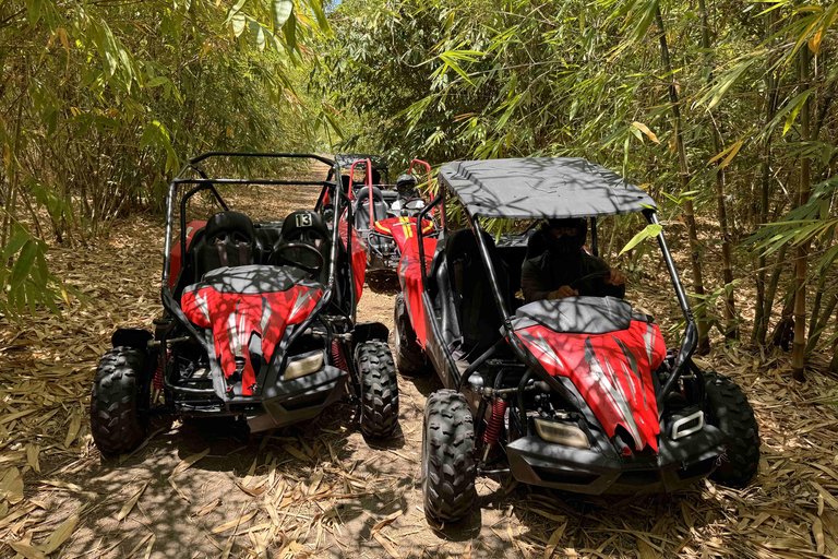 Bamboo Dune Buggy Tour