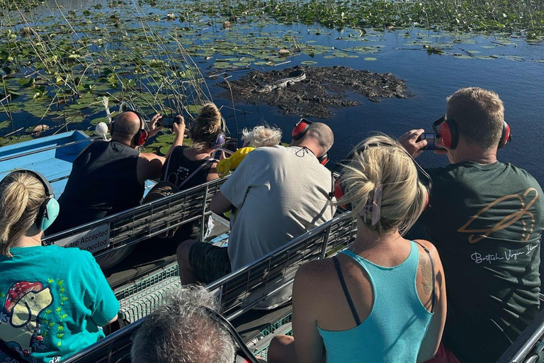 Kissimmee: Everglades Alligator and Wildlife Airboat Tour