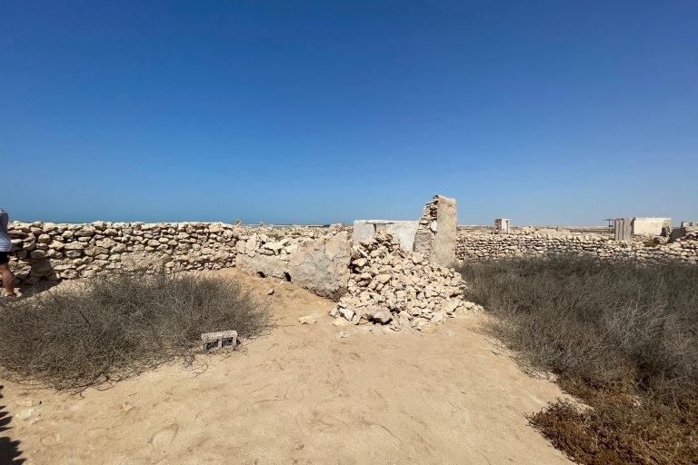 Nord du Qatar, Fort de Zubara, Mangroves, île pourpre