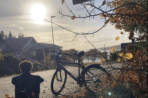 Gothenburg: Alingsås Private Bike Tour with Lunch