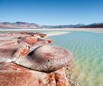 Chile: Tour Piedras Rojas + Lagunas Altiplánicas + Laguna Chaxa