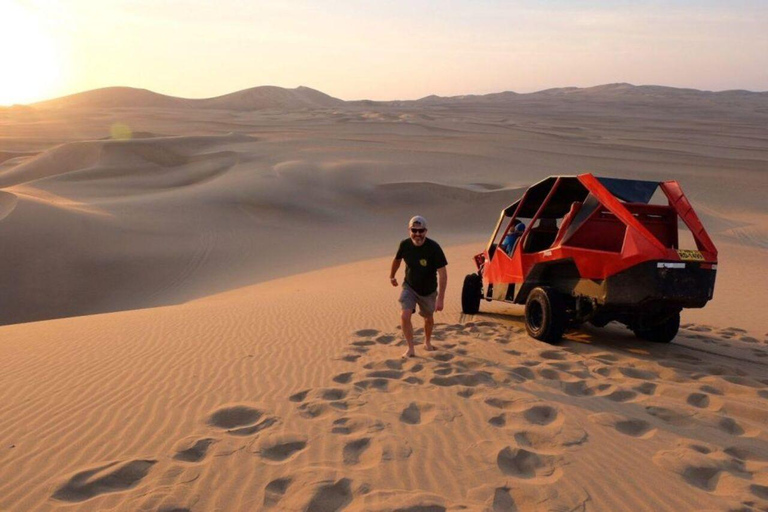 Excursão de ônibus de 1 dia por Paracas e Huacachina