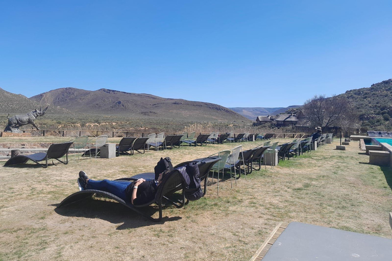 Le Cap : safari Aquila big five avec transport et déjeuner