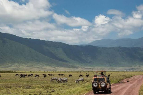 Majestic landscapes: A 5day Safari Adventure